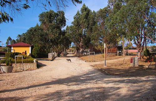 Herdade da Hera - Foto 24