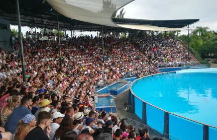 Beach Falésia Alfamar - Foto 31