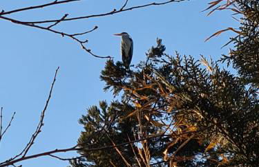 Eure Auszeit - Foto 27