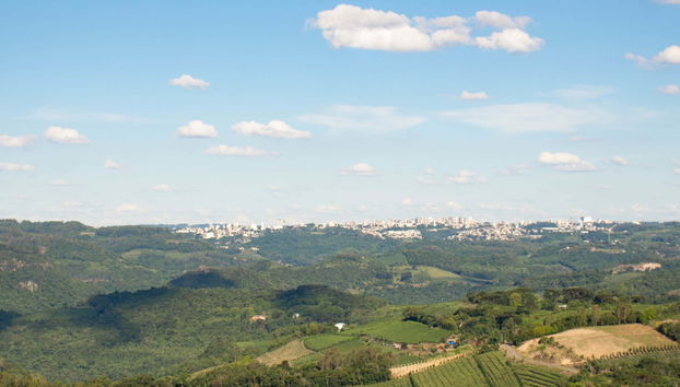 Tour pelas vinícolas do Vale dos Vinhedos