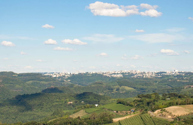 Tour delle cantine della Vale dos Vinhedos - Foto 5