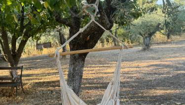 Casa Vacanze Podere Radici - Foto 3, Garden