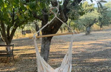 Casa Vacanze Podere Radici - Foto 3