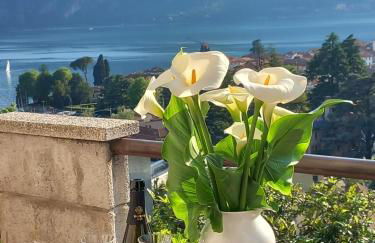 Lake and Guzzi view - Holiday Home - Foto 8