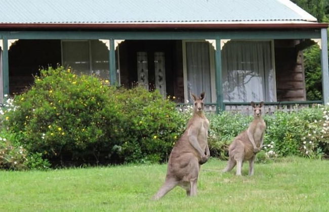 Cedar Lodge Cabins - Foto 13