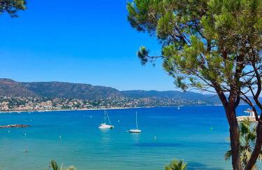 Location appartement au lavandou - Foto 10