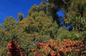 Cortijo La Hoya - Foto 39