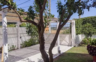 Casinha do Chico - Foto 30