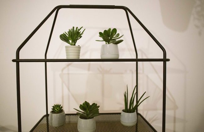 Alteea 2 Deluxe Bucharest Apartments - Foto 46