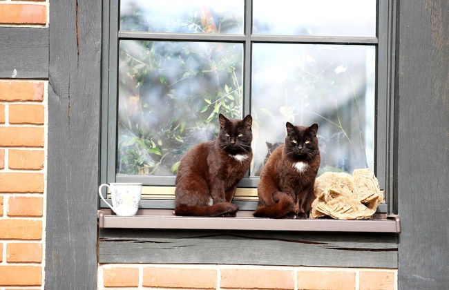 Terraced House by Gardersee Lake, Germany - Photo 24