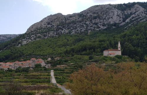 Biserka hidden gem of the island Hvar - Photo 20