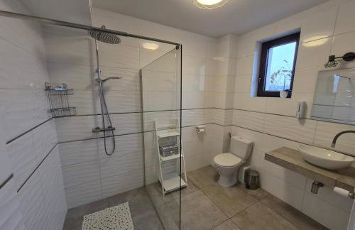 GOSPODARSTWO TURYSTYCZNE w OSINKACH - Foto 7