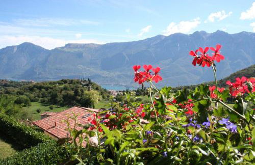 Appartamento Angelica 3 - Theater Home - Foto 23