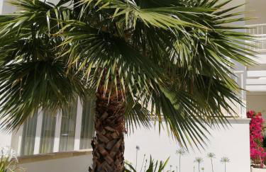 Residence Valentina int 4 - Rooftop Sea View Infinity Pool - Foto 21