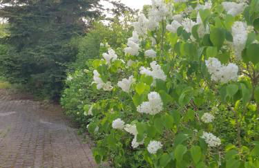 Charmante Einliegerwohnung - Foto 18