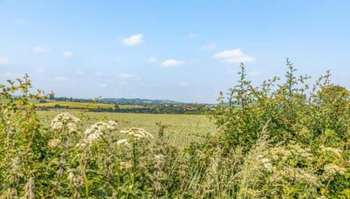 1 Bed in Flore oc-b32437 - Photo 2, Other