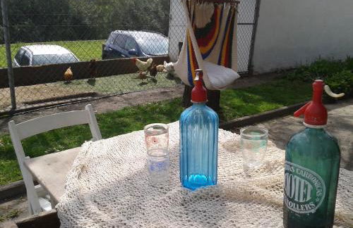 Mas Cabrit - Foto 24