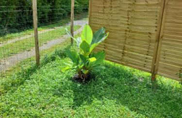 Maison petit ion jean mi et flo - Foto 19