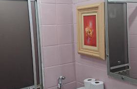APARTAMENTO ENCANTADOR NA ZONA LESTE - Photo 10