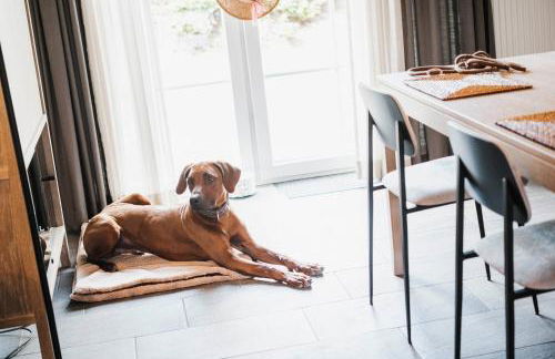 Appartementhotel Seeblick - Foto 26