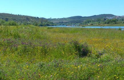 Casa do Frade - Foto 27