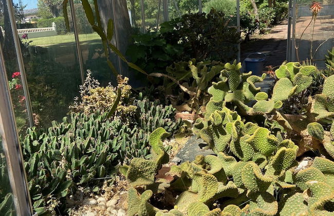 Cortijo Galván - Photo 46