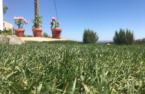 Casa da Nave - Foto 31