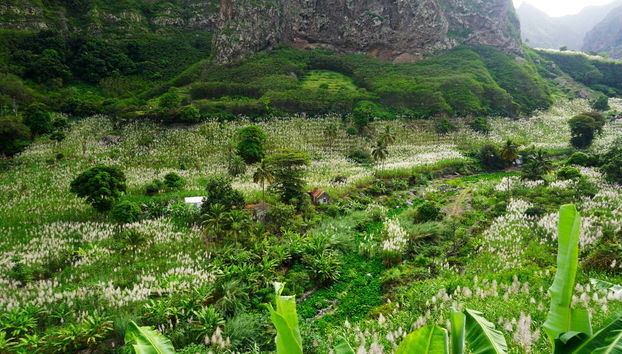 Paul Valley Hiking Tour - Photo 5