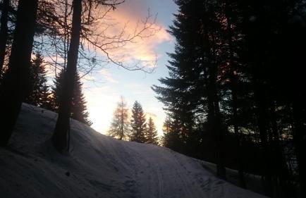 Casetta next to the Creek Dino Buzzati - Photo 58