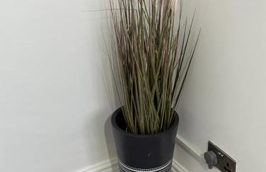 2 bedroom flat close to Manchester City, Manchester City stadium and Coop Arena - Foto 71