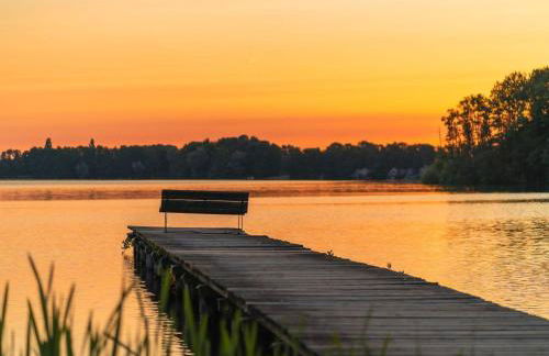 Ferienhaus mit Pool und Sauna am Duemmer See - Foto 87