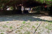 STELLA MARIS A - Foto 16