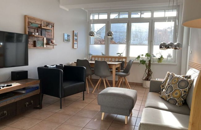 Herring Gull in the Villa Meernixe Binz - Photo 8