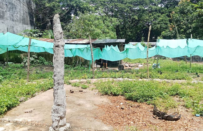 Backpackers Temple - Foto 19