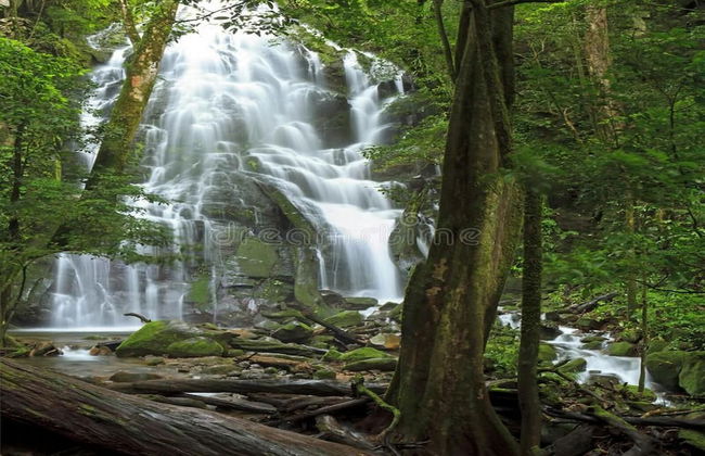 Impressively designed and decorated 3rd-floor space overlooking pool in Coco - Photo 49