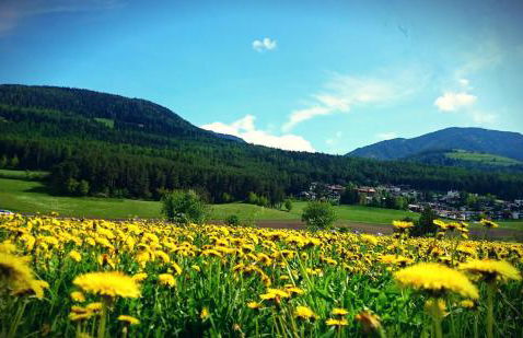 Residence Sonnberg - Foto 67