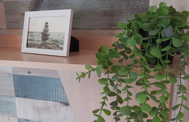 Dog Friendly Caravan on the Northumberian Coast - Photo 18