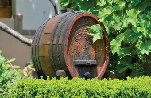 Amazing Home In Vinica With Sauna - Foto 14