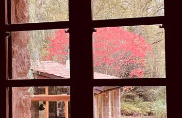 Can Torrotes - Foto 56