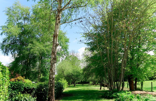 Dolce Vita - Foto 22