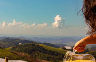 Chalé Vista do Paraíso - Photo 30