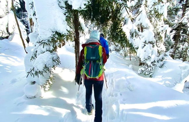 Adirondack Lake Cabins - Foto 70