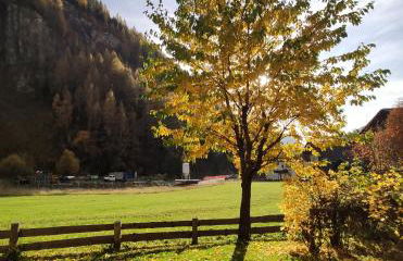 Klaus Prettau - Foto 23