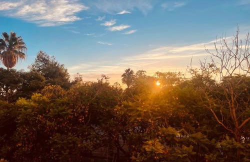 Acogedor estudio La Marina - Foto 11