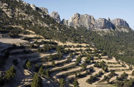 Le Jardin de Lau - Photo 42