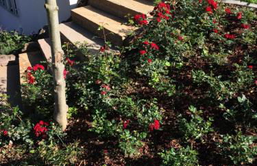 Appartement Rosengarten - Foto 14