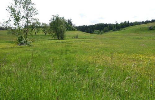 Blick In Den Garten - Foto 24