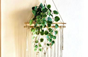 Happy Days On The Lake! - Foto 32