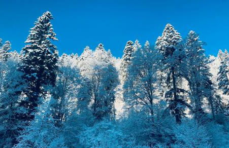 Fewo Moonshine 79 - Foto 17