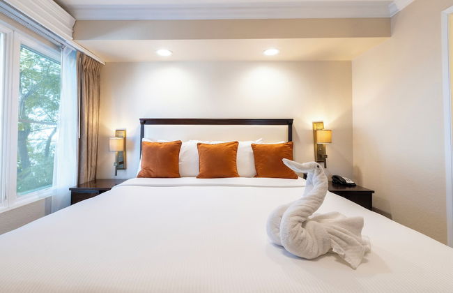 Coronado Beach Resort - Foto 10